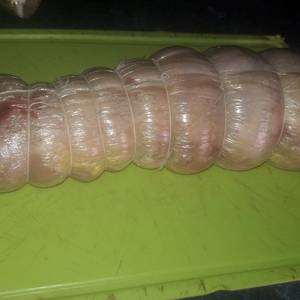 Arrollado o matambre de pollo ?