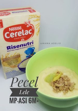 Foto resep RESEP PECEL LELE MP-ASI 6m+