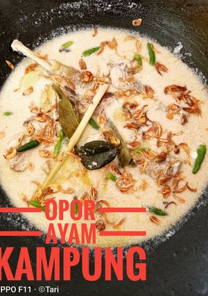 Foto resep Opor Ayam Kampung