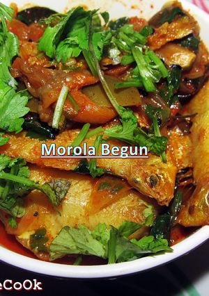 A picture of Morola Begun.