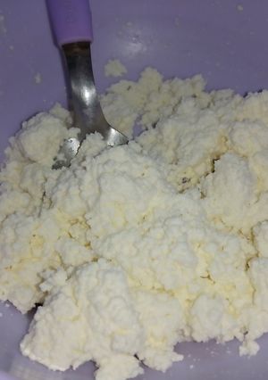 Una foto de Ricota Casera