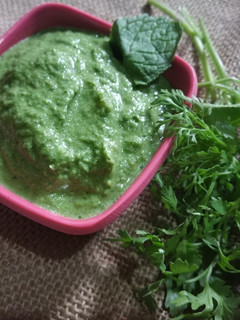 ગ્રીન ચટણી (Green Chutney Recipe In Gujarati) રેસીપી મુખ્ય ફોટો