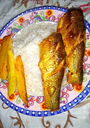 عکسی از دستور ماهی توی فر
