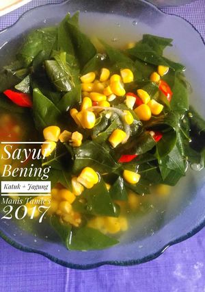 Foto resep Sayur Bening Katuk + Jagung manis