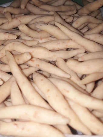 Easy Way Make Telur Gabus Keju the Awesome  Tasty