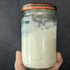 A picture of Sourdough starter.