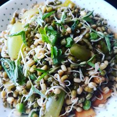 A picture of Fresh green salad.