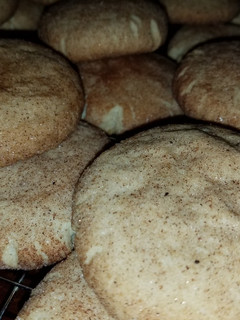A picture of Snickerdoodles.