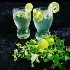 A picture of Mojito.