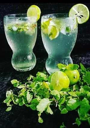 A picture of Mojito.