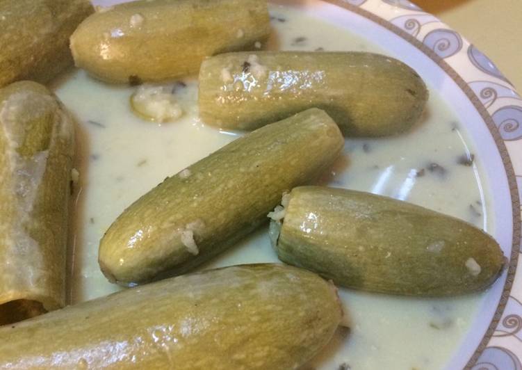محشي كوسا باللبن