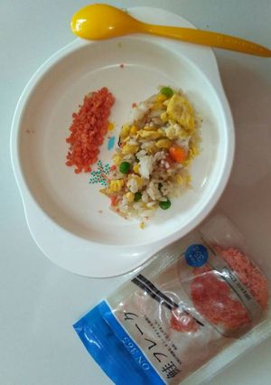 Foto resep MPASi 1 y++ Nasi Goreng Abon Salmon