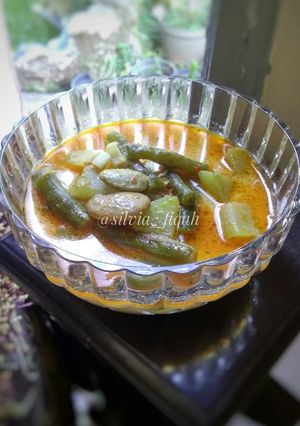 Foto resep Sayur Lodeh khas Malang #8