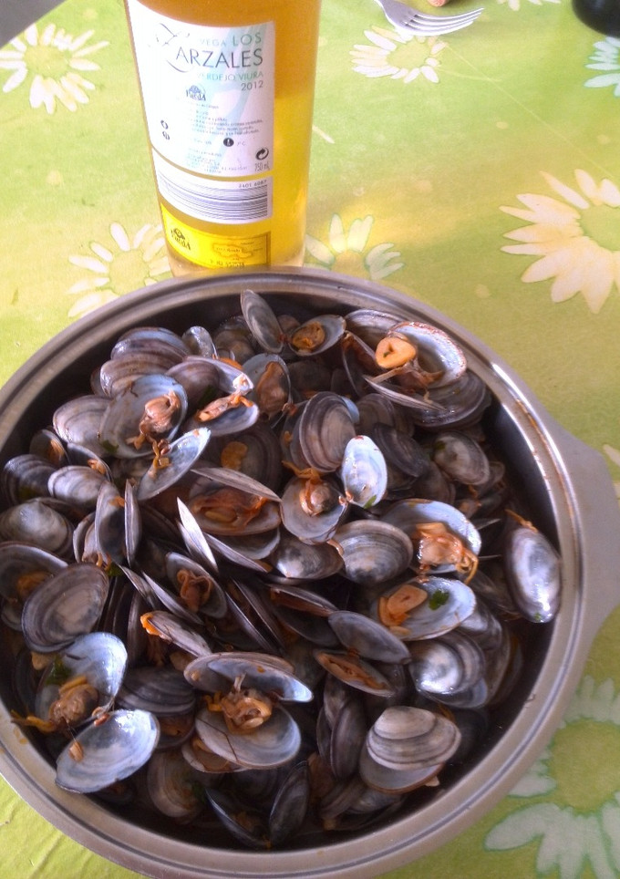 Una foto de Coquinas de Esteros -Isla de San Fernando, Cádiz-