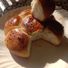 Haazel Buns A picture of Haazel Buns.