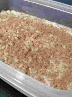 Una foto de Arroz con leche (desmitificado)