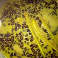 รูปของ Tengkuyung (tutut) masak santan kuning