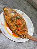 Pesmol ikan mujair