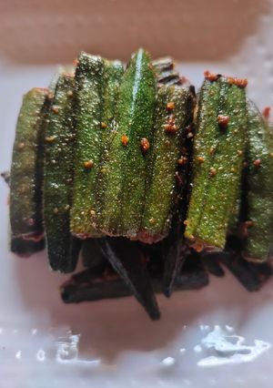 भरवां भिंडी (Bharwan bhindi recipe in hindi) रेसिपी मुख्य फोटो