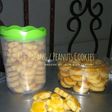 Kue Kacang / Peanut Cookies
