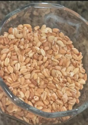 عکسی از دستور گندم برشته