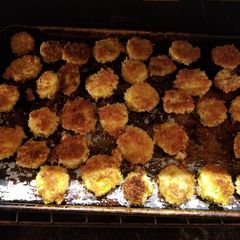 A picture of Fried Zucchini Bites.