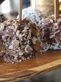 Chocolate candied apples