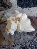 Helado de chocolate Blanco 🍨🍫