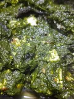পালং পনির(Palak paneer recipe in Bengali) রেসিপির প্রধান ছবি