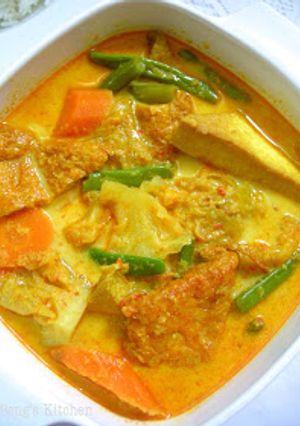 A picture of Sayur Lodeh w/ Choyote in Coconut Cream milk 🇮🇩 🍹😋😊🌶🥕🍅🍜.