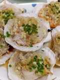 Stim Scallop