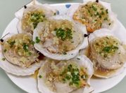 Gambar scallop tim