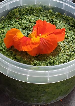 Une photo de Pesto de feuilles de capucine