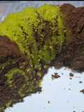 Matcha Chocolate buttercake