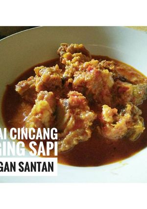 Foto resep Gulai Cincang Daging Sapi dengan Santan