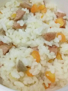 Foto resep Nasi Gurih (1y+) MPASI