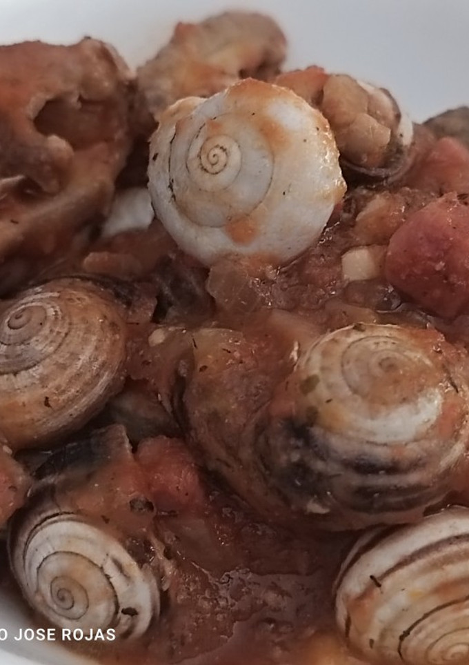 Una foto de Conejo con caracoles
