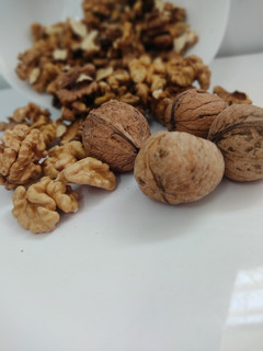 عکسی از دستور خورشت فسنجون با مرغ
