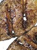 Ikan pihi bakar