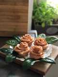 PAO beet rose