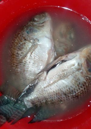 Foto resep Penget ikan mujair