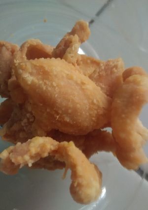 Foto resep Kulit ayam krispi