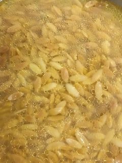 صورة لوصفة شوربة لسان عصفور