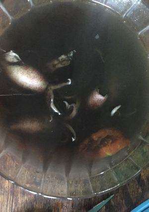 Foto resep Pindang cumi resep bumer