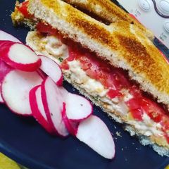 A picture of Bells Chickpea sandwiche.