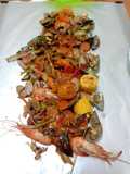 Shellout reggae