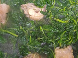 Rau thù lù (hoặc tầm bóp) nấu gà