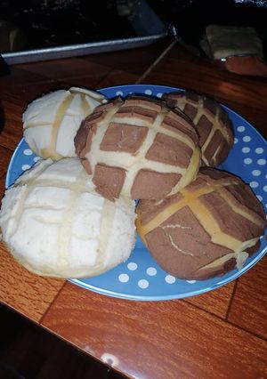 Una foto de Conchas
