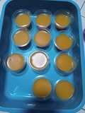 Puding labu madu