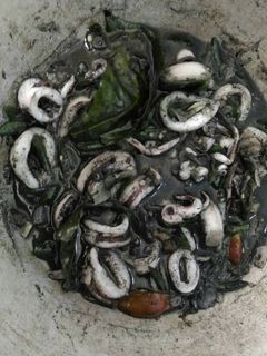 Foto resep Tumis cumi hitam